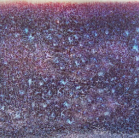 SB2134 Galaxy Mist cone 6 Glaze
